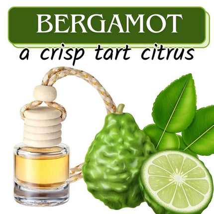 Bergamot (a crisp tart citrus) Car Home Fragrance Diffuser All Natural Coconut Oil Freshener Air Home - Sip Sleeves