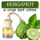 Bergamot (a crisp tart citrus) Car Home Fragrance Diffuser All Natural Coconut Oil Freshener Air Home - Sip Sleeves