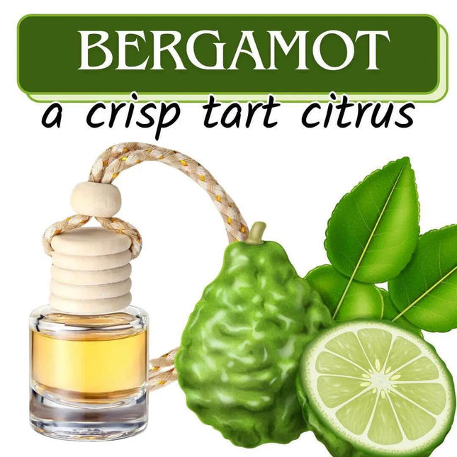 Bergamot (a crisp tart citrus) Car Home Fragrance Diffuser All Natural Coconut Oil Freshener Air Home - Sip Sleeves