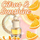 Citrus & Sunshine Car Home Fragrance Diffuser All Natural Coconut Oil Freshener Air Home - Sip Sleeves